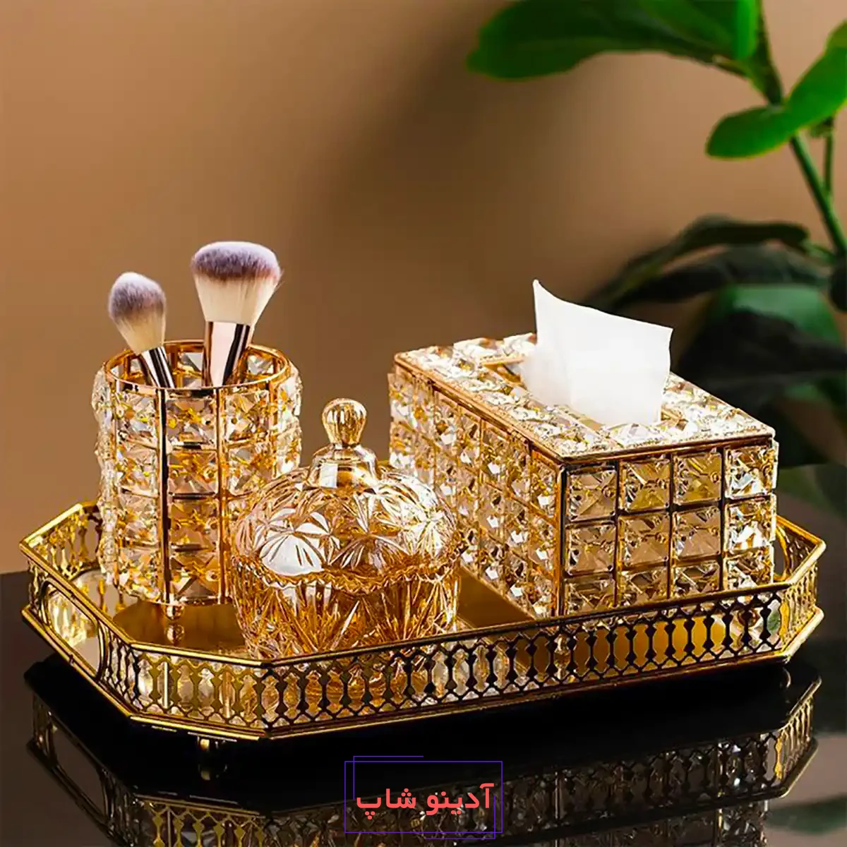 سینی شیک پذیرایی