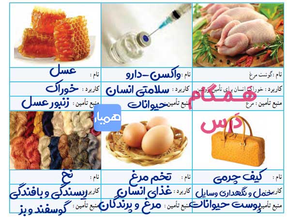 کار کلاسی صفحه 82 کاروفناوری هشتم