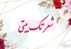 شعر تک بیتی چیست؟