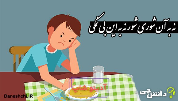 نه به آن شوری شور نه به این بی نمکی