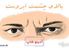 معنی بالای چشمت ابروست