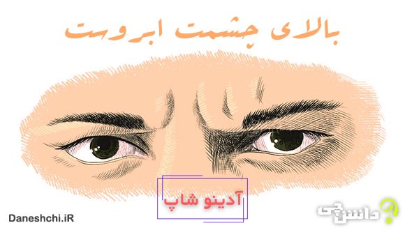 معنی بالای چشمت ابروست