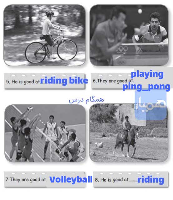 جواب صفحه 17 کتاب کار زبان هشتم