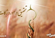 تحقیق در مورد زکات