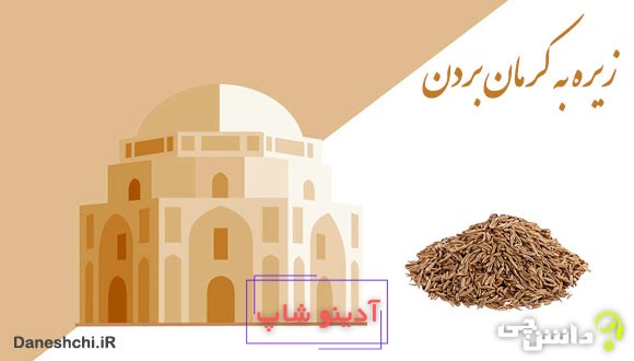 معنی زیره به کرمان بردن