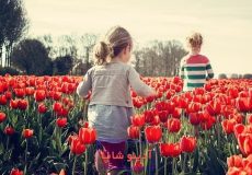 تعبیر خواب بچه