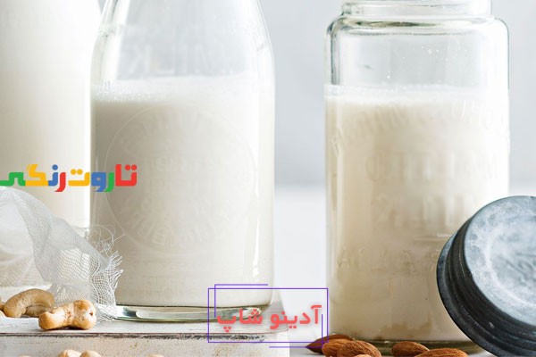 تعبیر خواب شیر