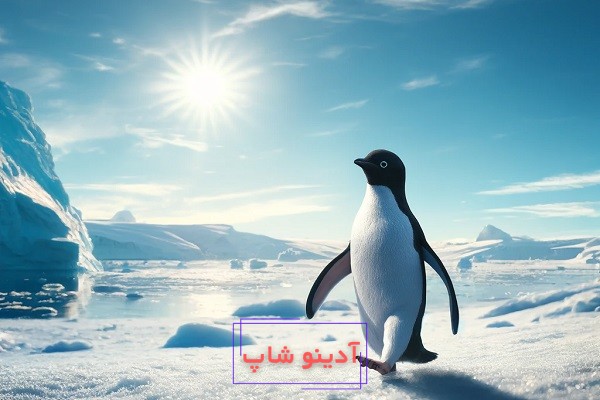 تعبیر خواب پنگوئن