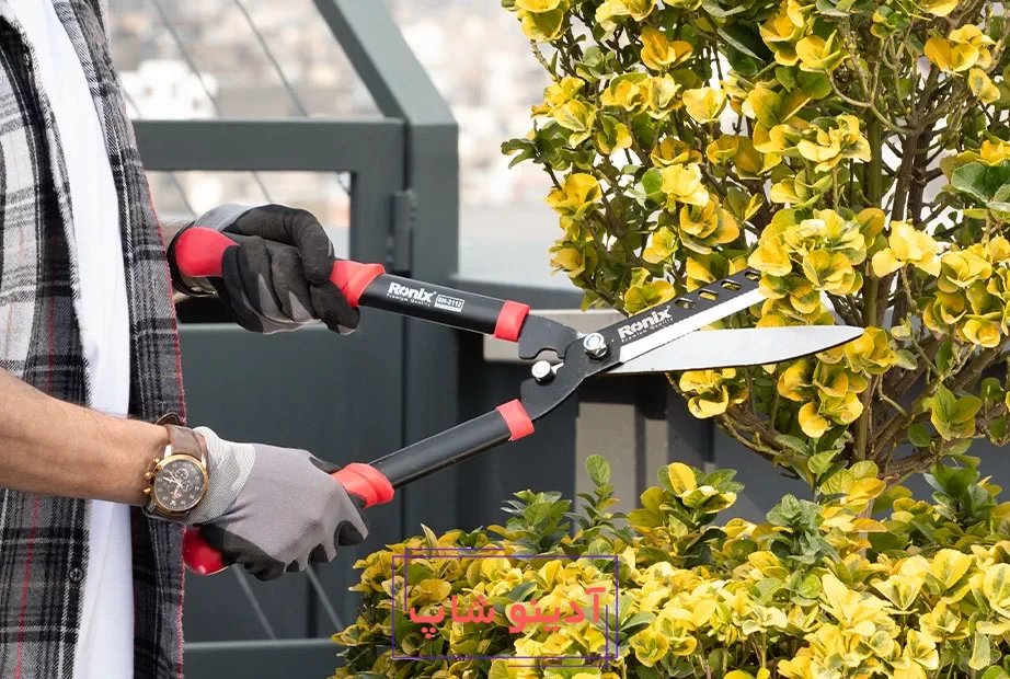 قیچی باغبانی رونیکس