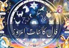 فال کائنات امروز پنجشنبه 13 آذر 1404