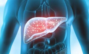 هشدار فوری: این ۵ نشانه روی صورت خبر از کبد چرب می‌دهند! قبل از جدی شدن بیماری ببینید