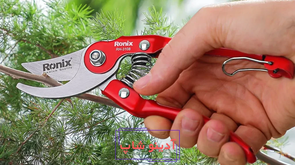 ابزار باغبانی برای مراقبت از گیاهان آپارتمانی: نکات و توصیه ها