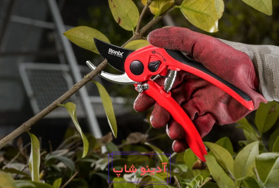 قیچی باغبانی رونیکس