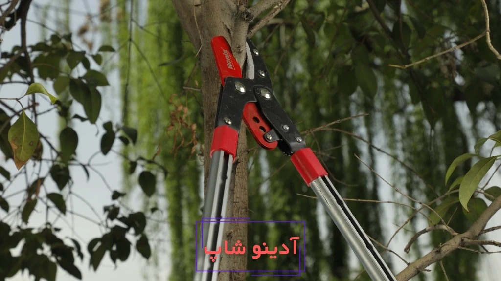 بهترین برند شاخه‌ زن: معرفی پرفروش‌ترین و باکیفیت‌ترین برند شاخه‌زن