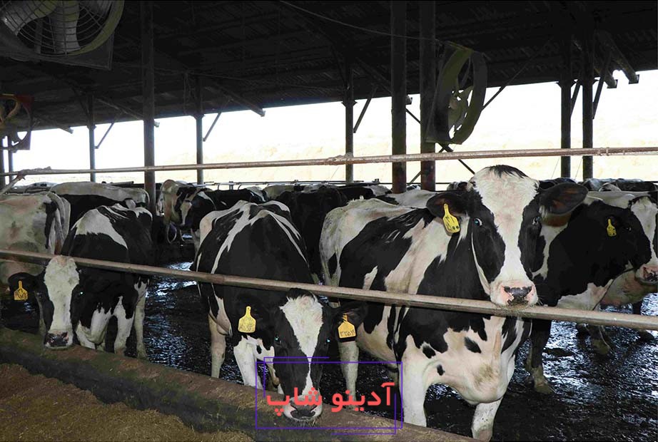 موتور برق برای گاوداری کوچک 