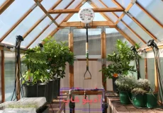 چطور گلخانه خانگی بسازیم؟ ابزارها و نکات کلیدی