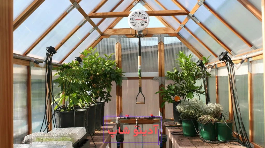 چطور گلخانه خانگی بسازیم؟ ابزارها و نکات کلیدی