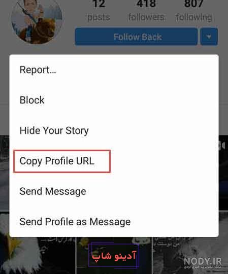 آموزش تنظیم بزرگ نشدن عکس پروفایل اینستاگرام (نسخه فارسی و انگلیسی) - انزل  وب