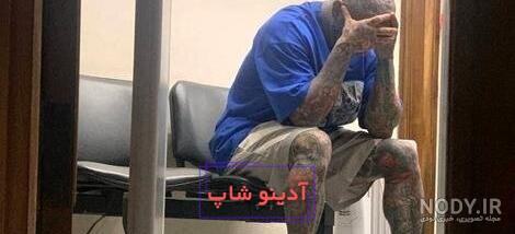 اولین ویدیو از لحظه بازگشت امیر تتلو به ایران