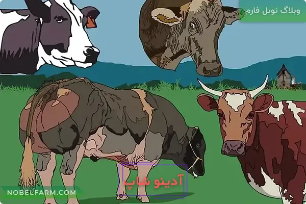 ایرون دات کام: بلاگ ها: یه مشت گاو علیه یه مشت خر