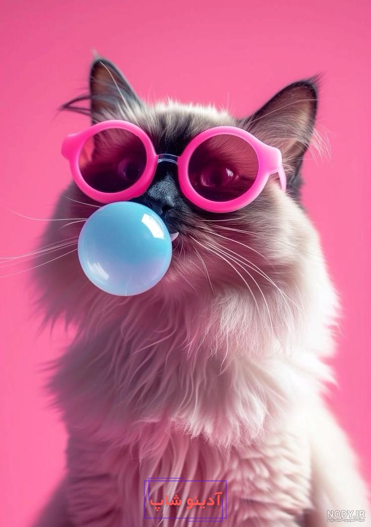 تصویر زمینه گوشی از حیوانات وحشی، خانگی، کارتونی، کیوت واقعی با کیفیت بالا  | پارسی دی