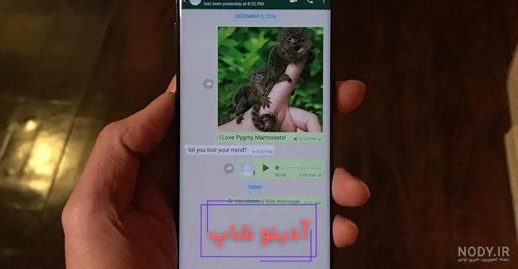 تنظیم کیفیت آپلود عکس در واتساپ — راهنمای تصویری – فرادرس - مجله‌