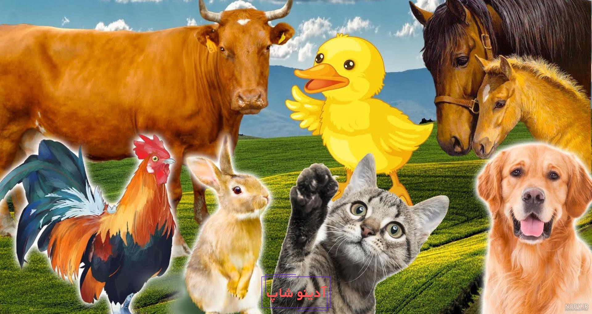 خرید اسباب بازی حیوانات اهلی 10 عددی - پینارشاپ