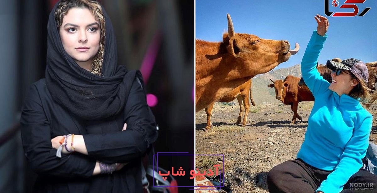 خودروی حامل گاو غول پیکر، پلیس را شوکه کرد - برترین ها | خبر فارسی