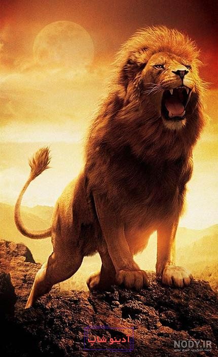 دانلود عکس HD و 4K ببر برای تصویر زمینه و پروفایل