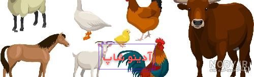 دانلود کاراکتر کارتونی گوسفند در دو حالت ساده و نقاشی شده ، مناسب برای کتاب  رنگ