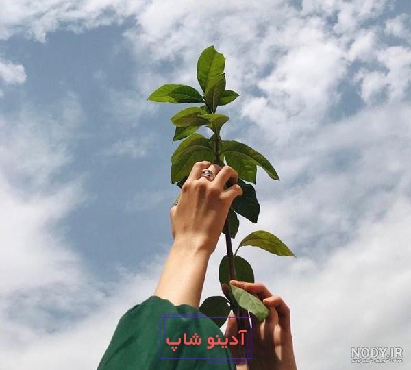 دختر عکس پروفایل دست رو به آسمان