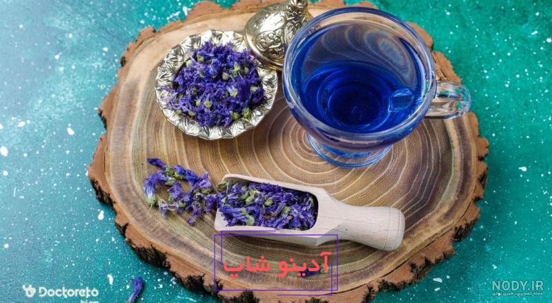 راهنمای کامل کاشت گل گاوزبان - بهترین مقالات کشاورزی | آموزش کشاورزی و  باغبانی و گیاهان آپارتمانی