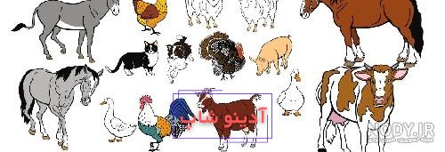 صداهای حیوانات مزرعه آموزش حیوانات خانواده گربه، اسب، گاو، مرغ، اردک
