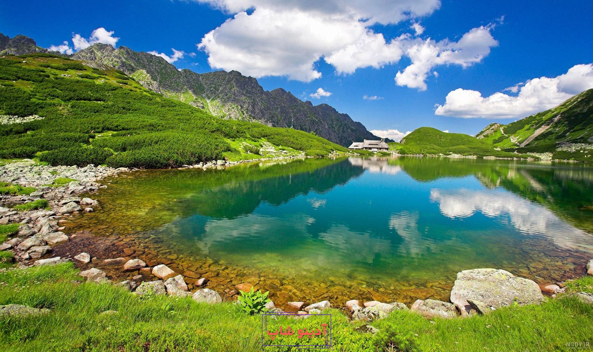 1000 عکس | عکس زیبا