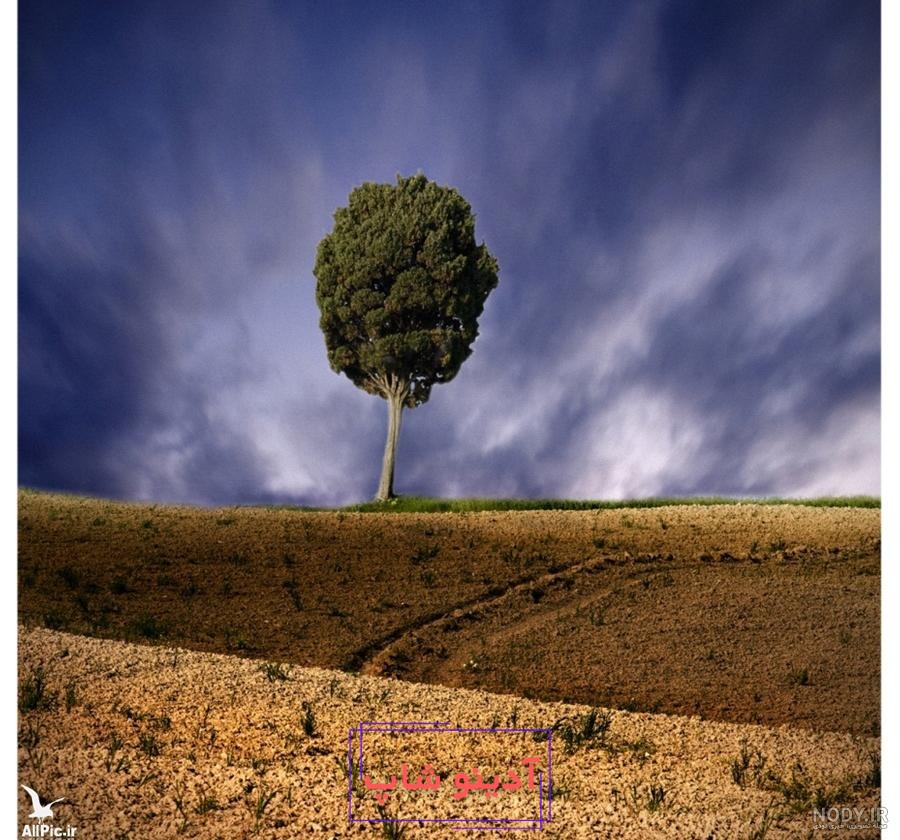 1000 عکس | عکس زیبا