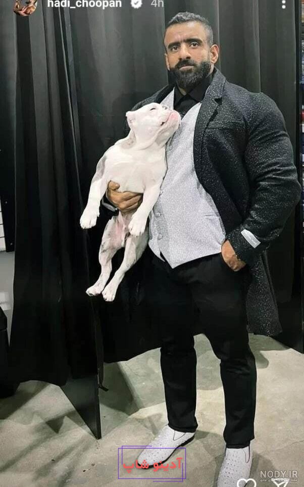 عکس هادی چوپان در خانه