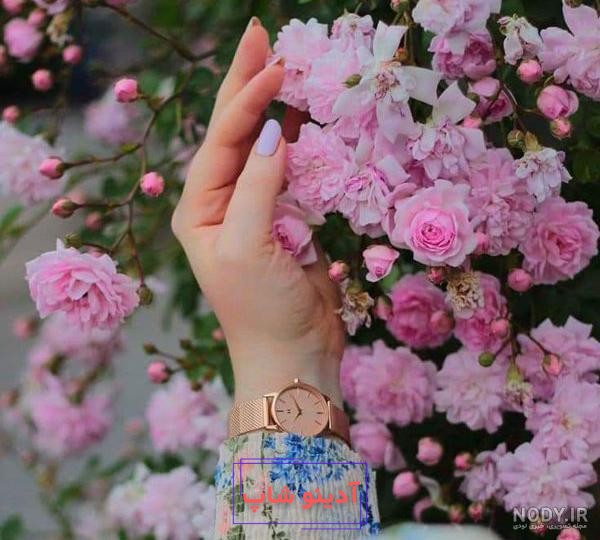 عکس پروفایل از پشت سر - تــــــــوپ تـــــــــاپ