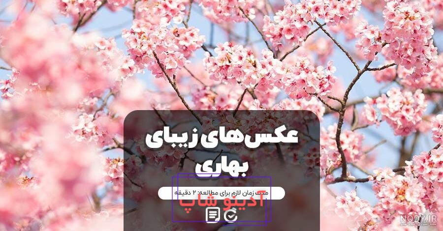 عکس پروفایل اسم بهار
