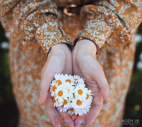 عکس پروفایل باحجاب دختر