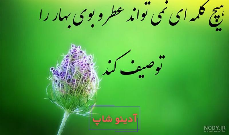 عکس پروفایل بهار 2023 | عکس بهار | عکس پروفایل طبیعت | عکس طبیعت بهاری | عکس  پروفایل شیک