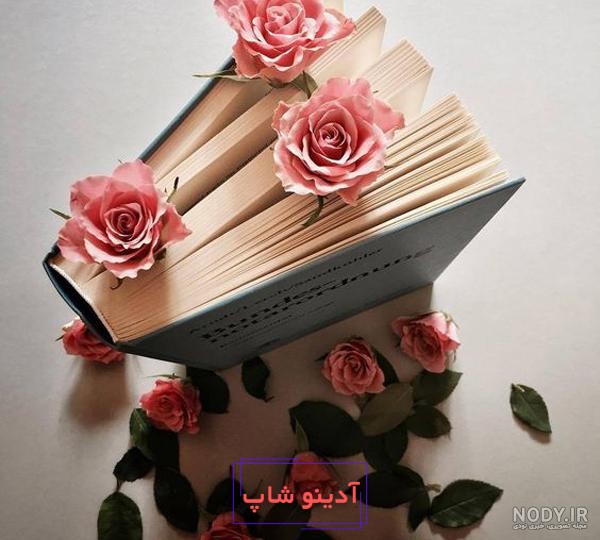 عکس پروفایل خاص بدون متن + عکس بدون متن در مورد زندگی