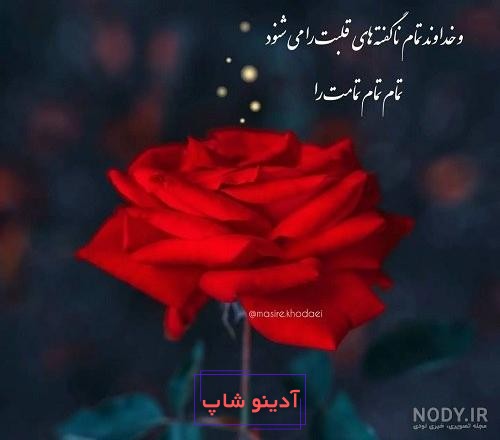 عکس پروفایل خدا شکرت جدید - عکس نودی