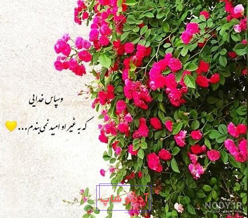 عکس پروفایل خدایا شکرت 2023 | خدایا شکرت برای نگاه پر مهرت | خدایا شکرت به  هزارویک دلیل