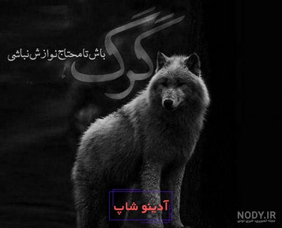 عکس پسرانه لاتی خفن و شاخ برای پروفایل با متن و بدون متن