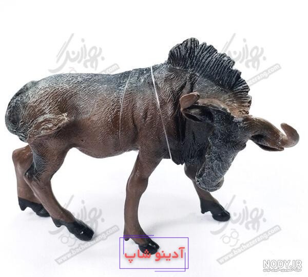 عکس گاو وحشی شاخ دار - عکس نودی