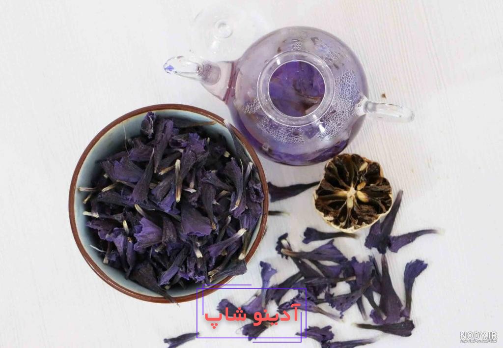 قیمت انواع گل گاو زبان وحشی - تابناک | TABNAK