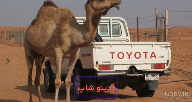 لیلی علوی »، « تاچر » و « مونیکا » خودروهای تند و تیزی که در خیابان های  سودان و ایران جولان می دهند | اسب بخار | مرجع تخصصی اخبار و ویدیوی خودرو