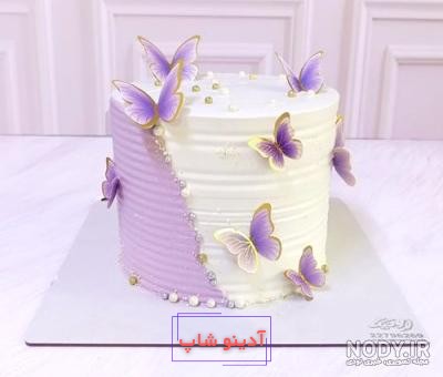 65 مدل کیک تولد دخترونه ساده و شیک برای مناسبت های خاص + گالری تصاویر