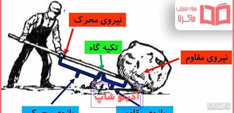 نمودار زیر را با کلمه‌های مناسب کامل کنید. | علوم تجربی پنجم شماره 350480 -  گاما