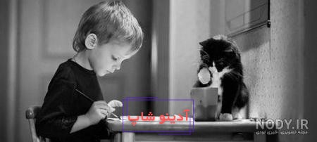 پروفایل گربه غمگین | مرکز خرید و فروش گربه میو میو